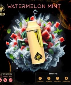 ACE WATERMELON MINT