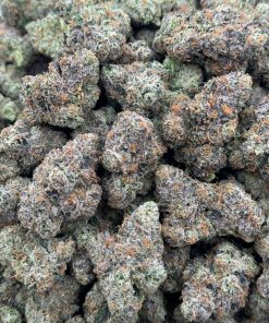 Bubblegum Runtz by Jungle Boys | Licensed Designer Exotics | Distro #2