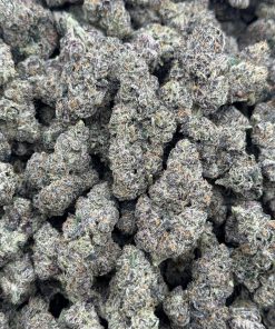 Black Runtz by Culture Farms | Licensed Designer Exotics | Distro #2